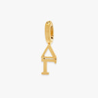 Delta Gamma Collection